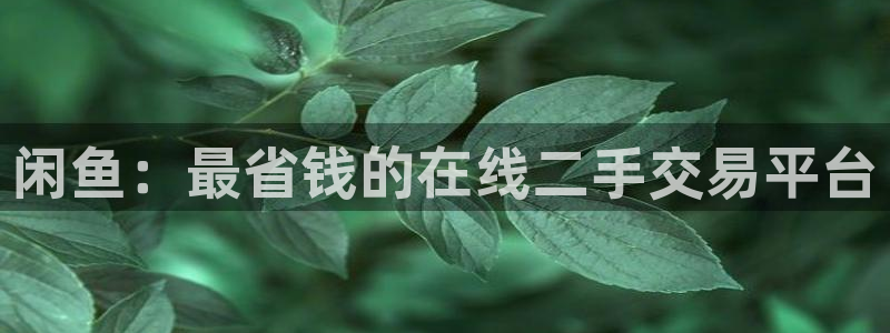 哈哈体育新能源